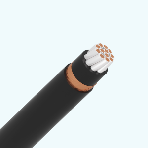 Cáp điều khiển 8x